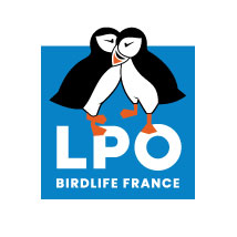 partenaire